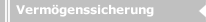Vermögenssicherung